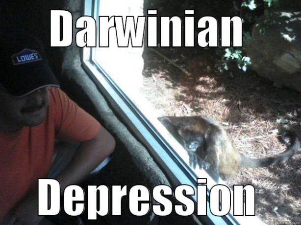 Darwinian Depression
